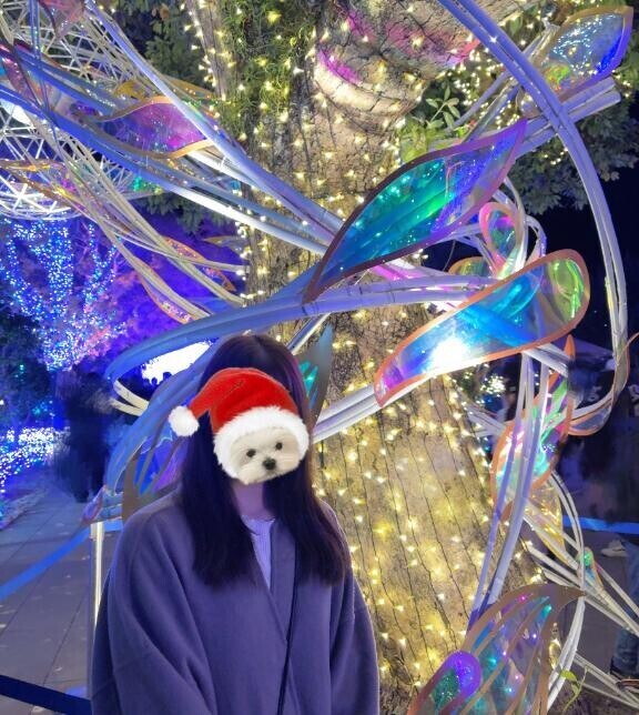 また観に行く！??