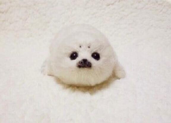 口コミありがとう