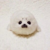 口コミありがとう