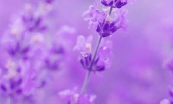 口コミありがとう