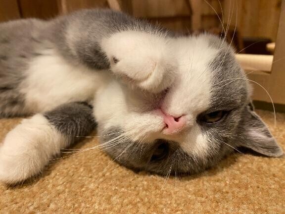 口コミありがとう！