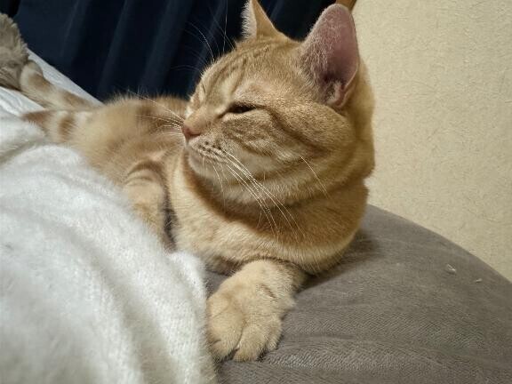 今日はゆっくり...?