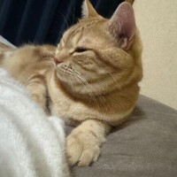 今日はゆっくり...?