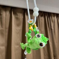 サンタさんいっぱいだった?