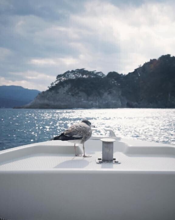 毎度のことながら