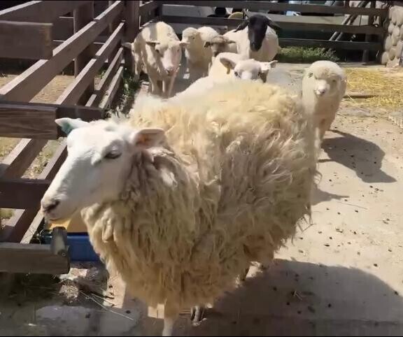 今日もありがとう??