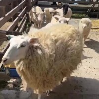 今日もありがとう??