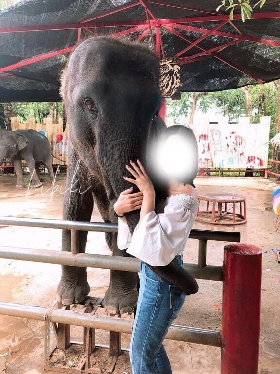 はguuuu～～(?っ ? _?)?