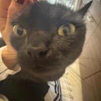 おやすみなさい??