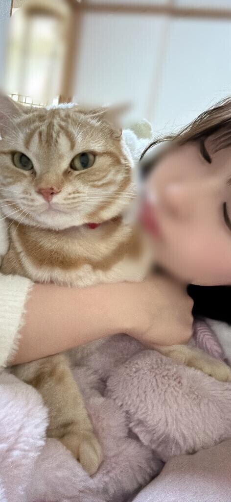 おやすみなさい??