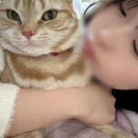 おやすみなさい??