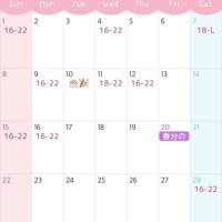 3月の予定です??