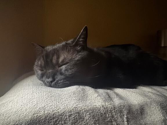 おやすみなさい??