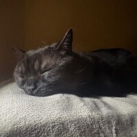 おやすみなさい??