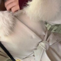 カチカンノチガイ