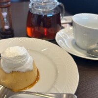 お休み中のさやかです?