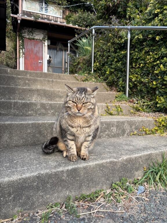 ごめんなさい??