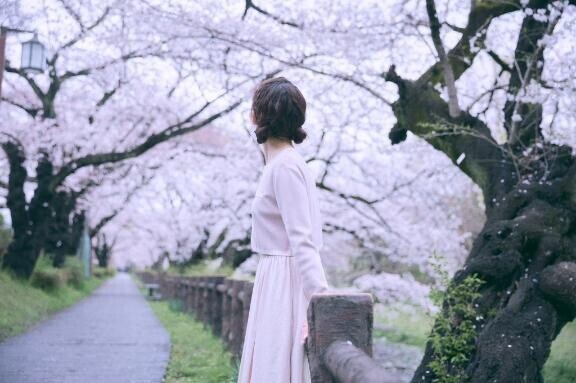 桜?だいすき?