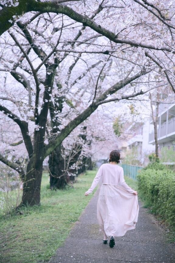 桜の咲く音がした??