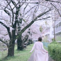 桜の咲く音がした??