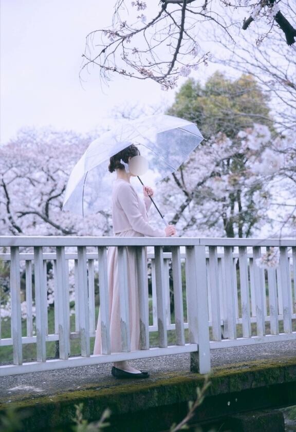 お花見?