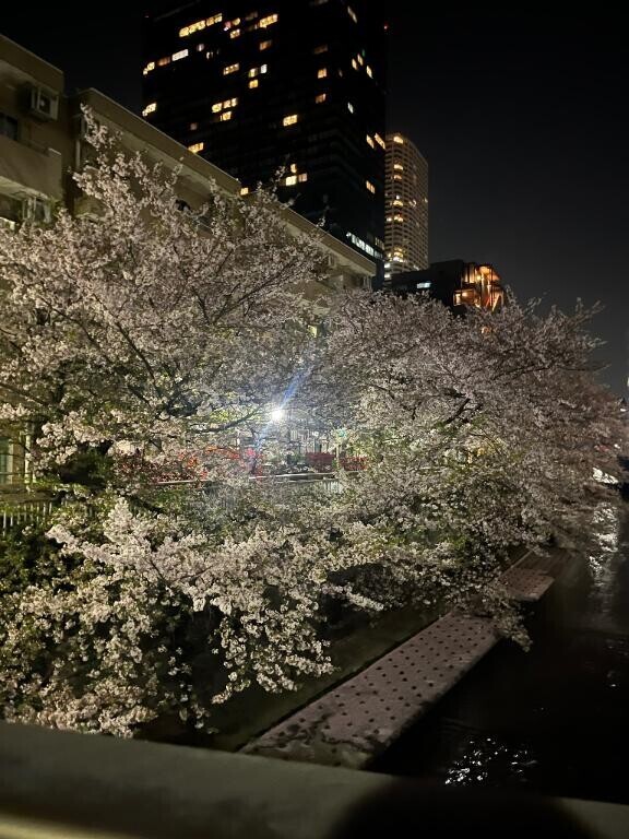 今年はまだなの?~?
