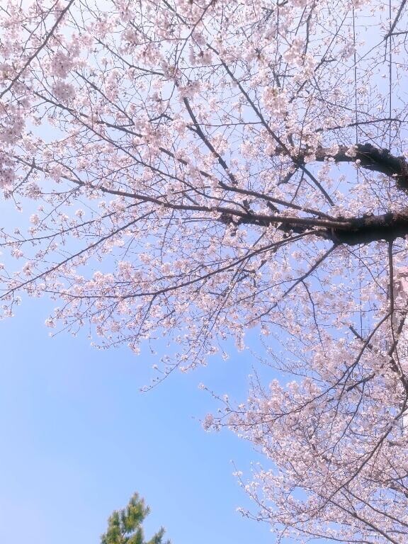 お休みしました