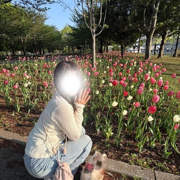 春だし?
