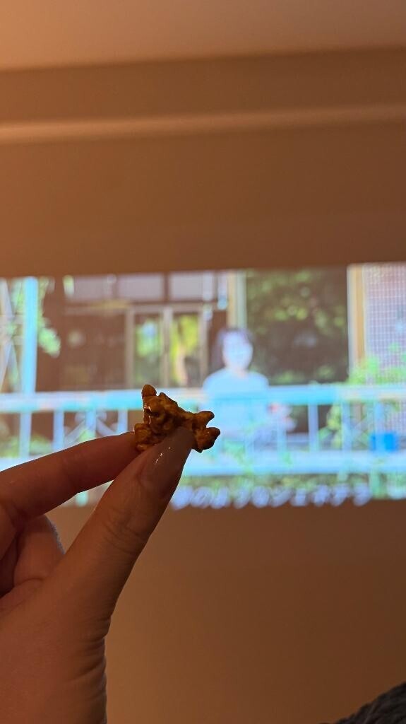 りほちゃんがりほちゃん?