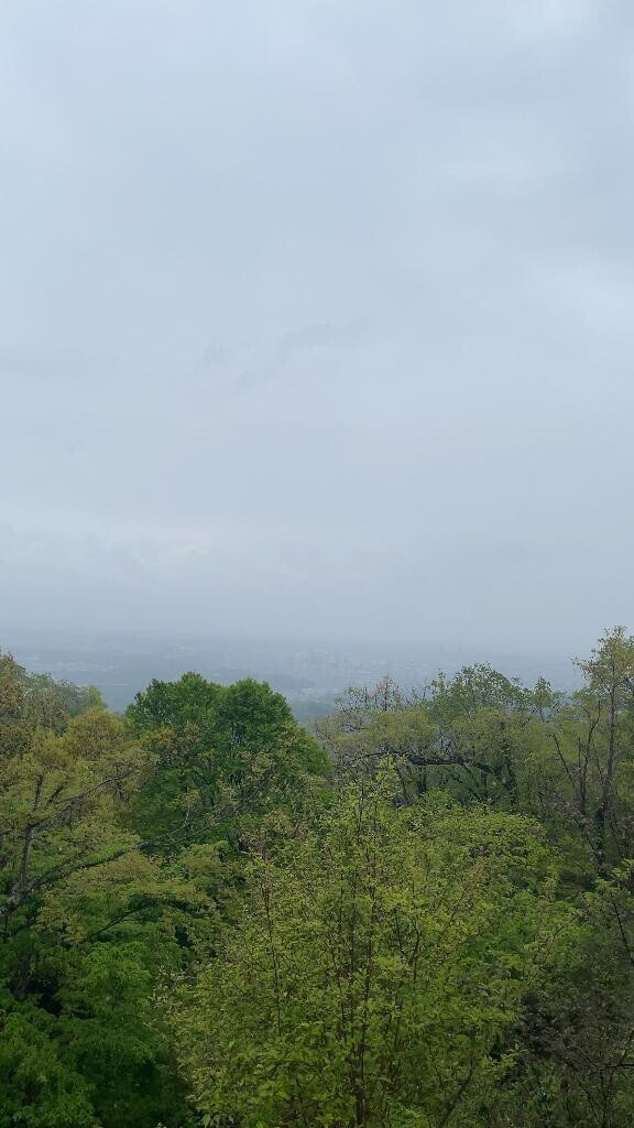 体ばきばきっ
