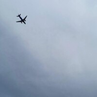 寒暖差凄すぎるよぉ