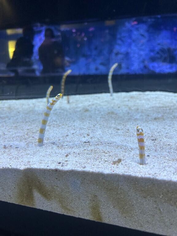 これ可愛すぎた??