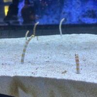 これ可愛すぎた??