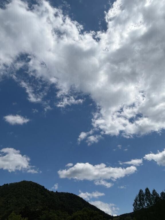 わあ！