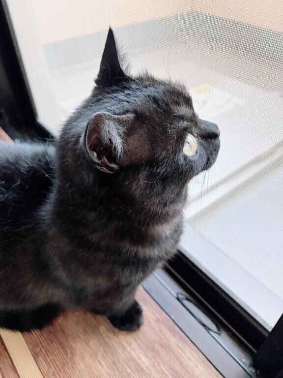今日はお家で?