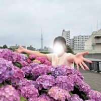 むぎ