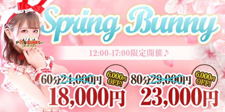 ★Spring Bunny★