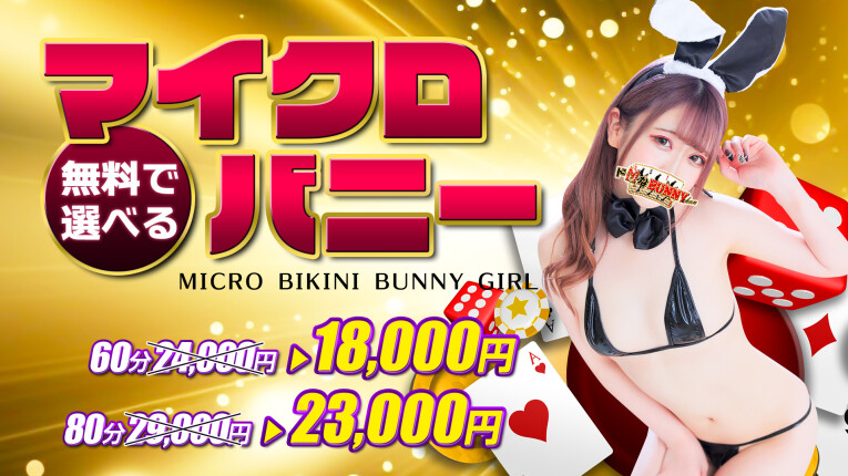マイクロバニー♪