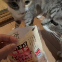 ねこ「おぉ、うまそうだな」