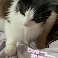 【けんちゃん】