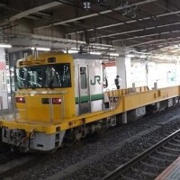 またいた！