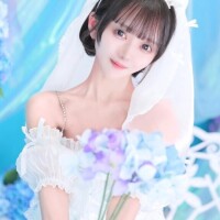 今後の予定