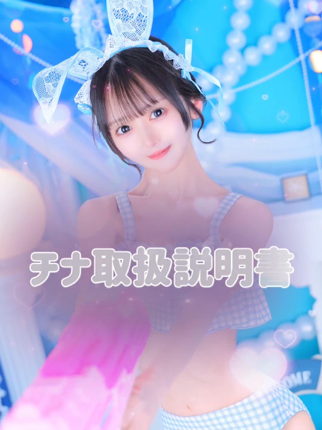 チナの説明書