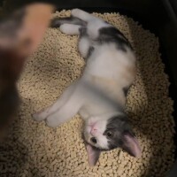 休日の過ごし方