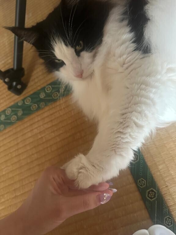 むにゅ…໊