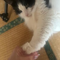 むにゅ…໊
