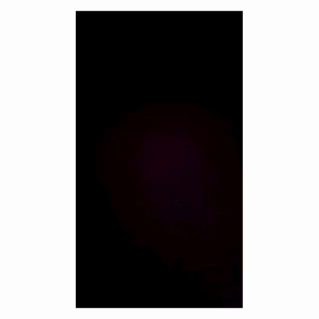 動画(数時間限定動画)*。