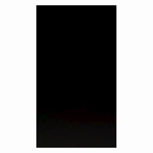 動画(数時間限定動画)*。