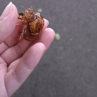 今年初！