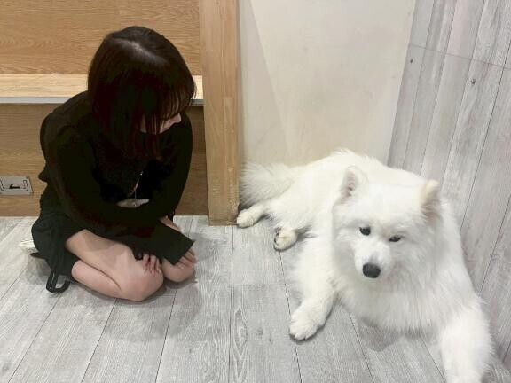 旧??
